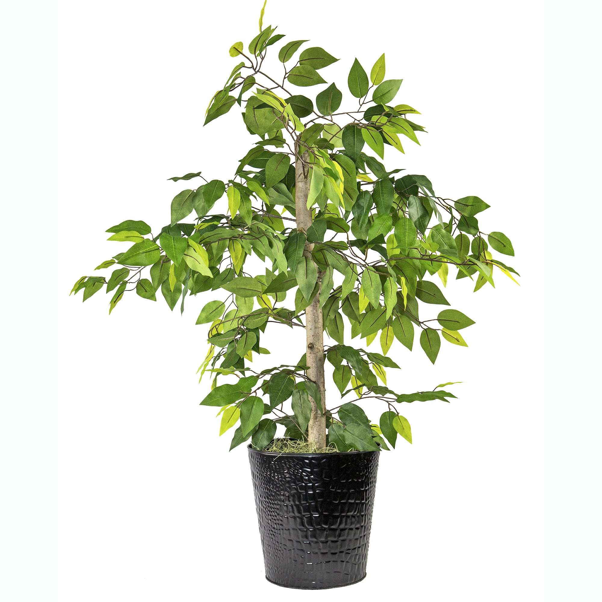 LCG Florals Artificial Tree, Ficus Tree, 4 ft, Black Metal Planter