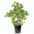 thumbnail image 4 of LCG Florals Artificial Tree, Ficus Tree, 4 ft, Black Metal Planter, 4 of 8