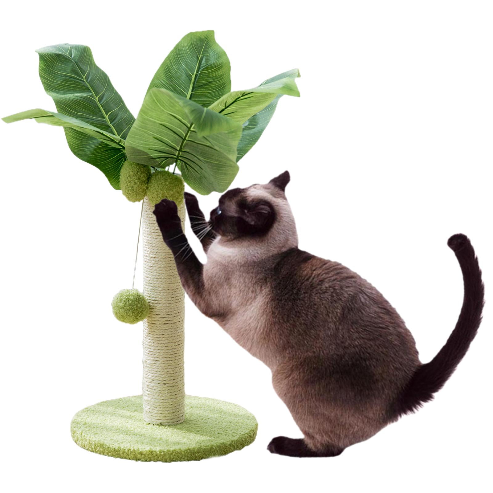 Cat Interactive Pet Toy Cat Supplies Toys Sisal Scratch 25cm