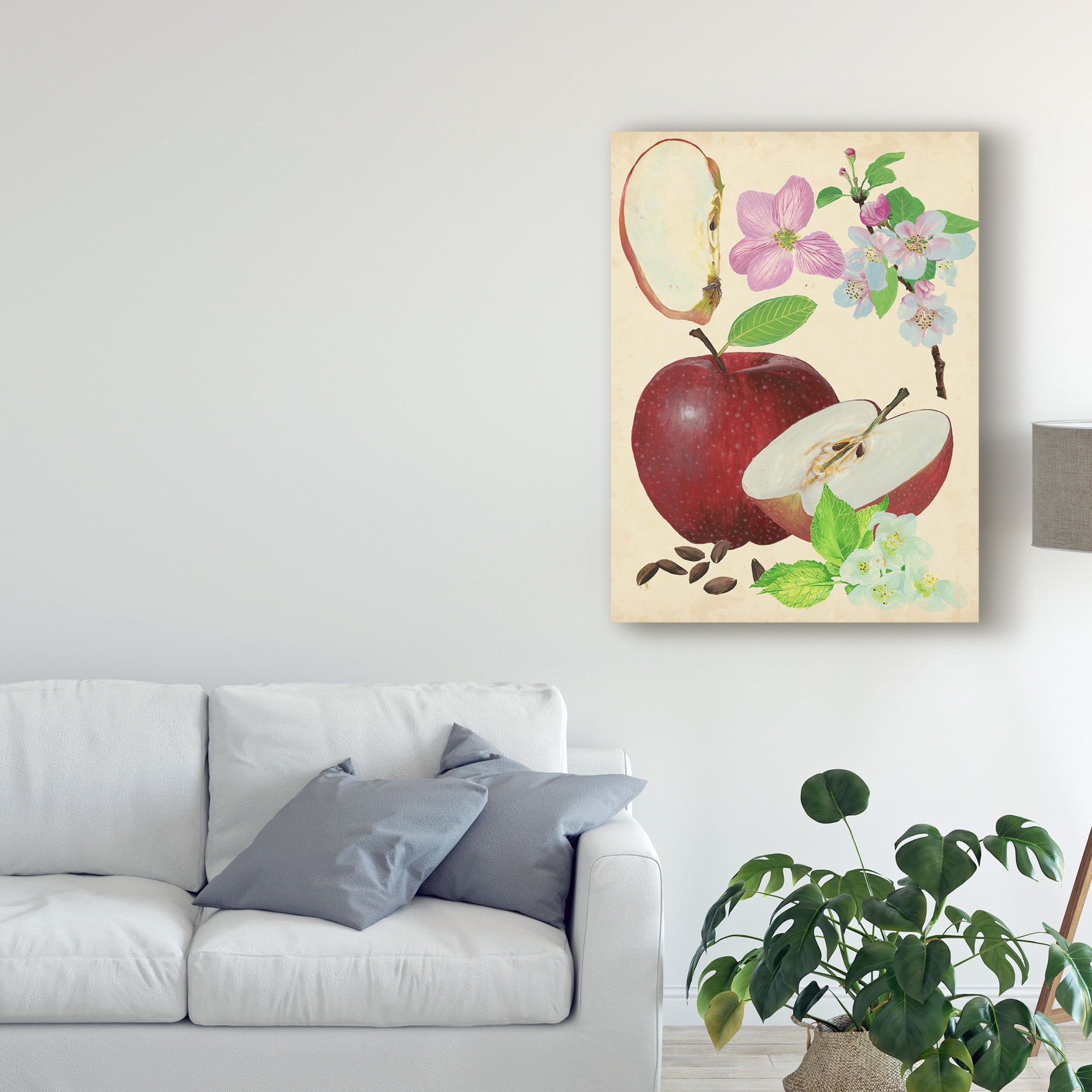 Trademark Fine Art 'Apple And Blossom Study I' Canvas Art by Melissa Wang
