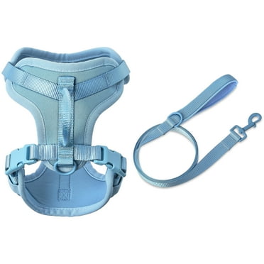 Vibrant Life Neoprene Cushioned Walking Dog Set, Adjustable Dog Harness XS with 6ft Leash, Soft Blue, Extra Small