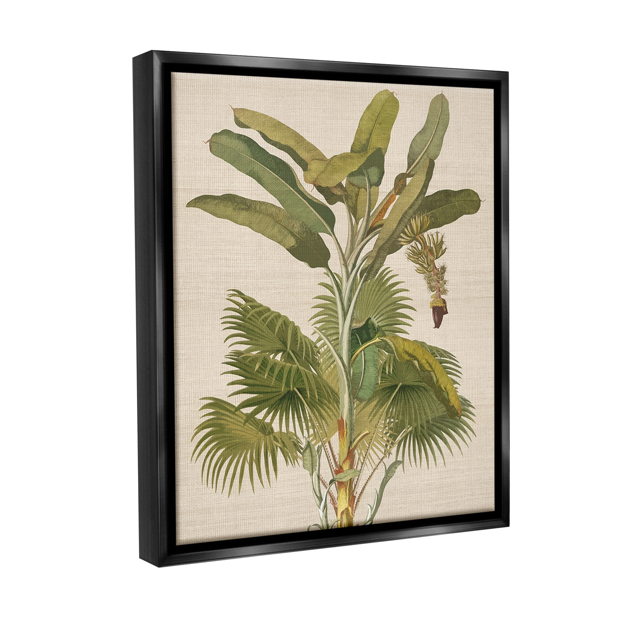 Stupell Industries Vintage Tropical Plant Botanical & Floral Painting Black Floater Framed Canvas Art Print Wall Art, 17 x 21