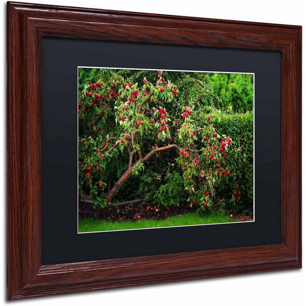 Trademark Fine Art "The Apple Tree" Canvas Art by Philippe Sainte-Laudy, Black Matte, Wood Frame