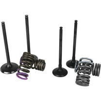 Wiseco SVKB3338 Garage Buddy replacement valve Set