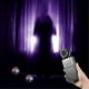 thumbnail image 2 of 4Pcs Spirit Box Equipment Kit, With 2 Cat Ball 1 Spirit Box Speaker Paranormal, 2 of 5