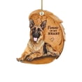 thumbnail image 4 of Sleeping Angel Dog Lover Funny Car Hanging Ornament Decor Pendant Bag U7H1 C6J0, 4 of 8