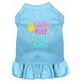 thumbnail image 1 of Chicks Rule Robe pour Chien Imprimé Bébé Bleu TTTG (20), 1 of 1