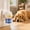 Dog, variant on Pet Plug In Calming Diffuser Kit, 1 Diffuser Unit with 2×48ml Refills, Continuous Release Soothing Device for Pet Stress Reduction Household Indoor Use