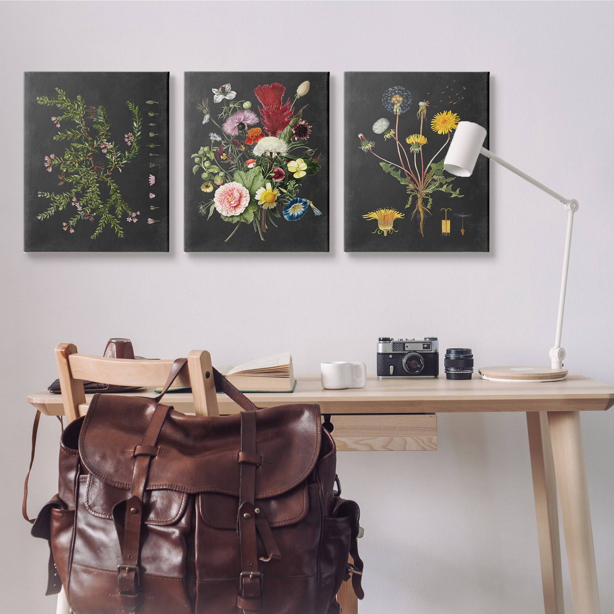 Stupell Industries Botanical Chalkboard Flowers Illustrations Canvas Wall Art by Lettered and Lined