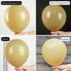 thumbnail image 3 of Globos PartyWoo Tan, paquete de 140 unidades, estilo bohemio, diferentes tamaños, 3 of 6