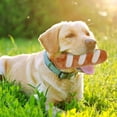 thumbnail image 5 of Interactive Dog Toy for Mental Stimulation and Health with Squeaky Sounds and Durable Chewing Design, 5 of 5