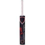 KLR Plus Kashmir Willow Cricket Bat, Handcrafted Grade R Willow with Web Tape Front Sticker Back Kashmir Willow Handle, Red and Black