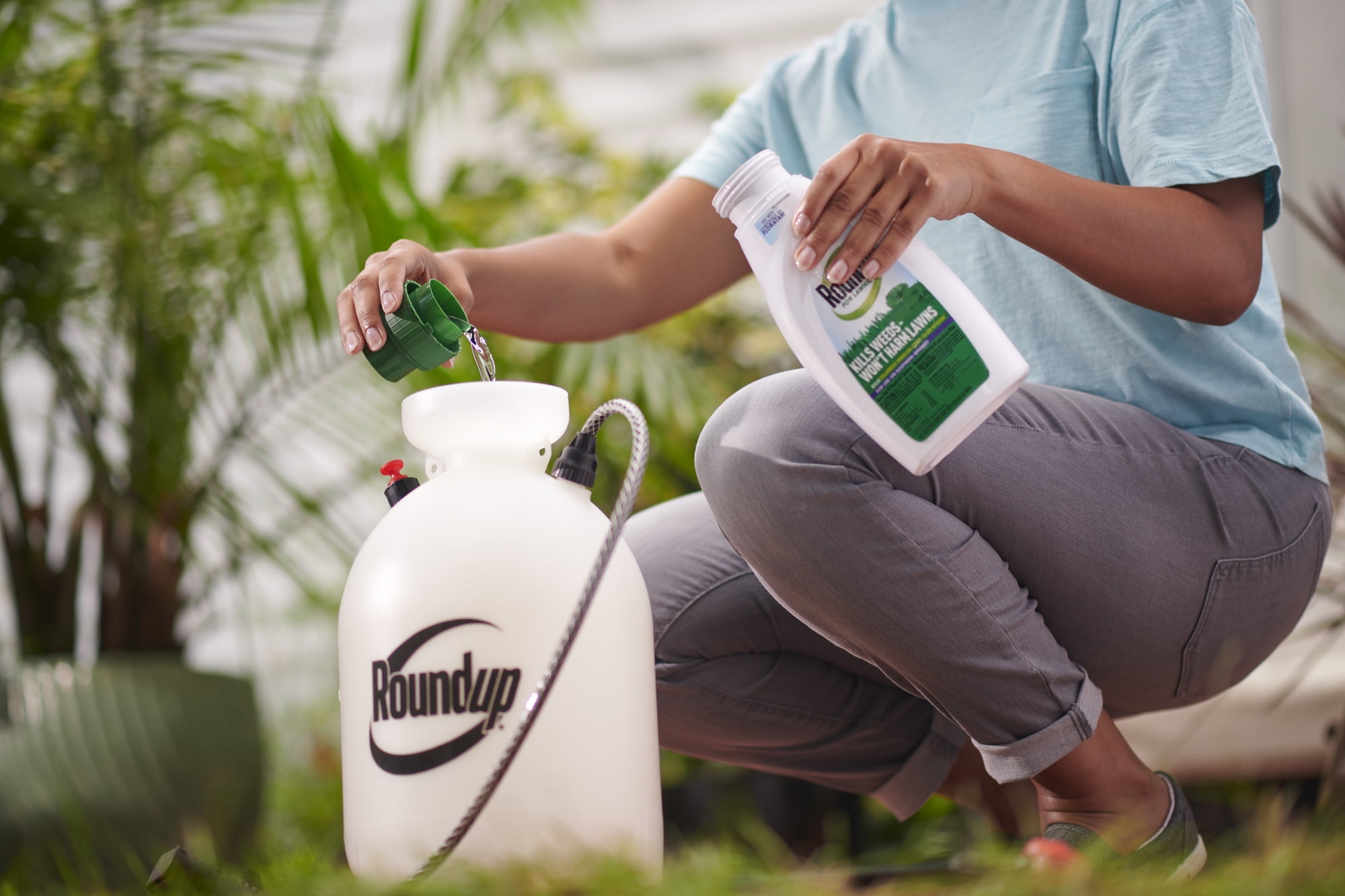 Roundup For Lawns₅ Concentrate (Southern), Weed Killer 32 oz.