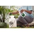 thumbnail image 6 of Roundup For Lawns₅ Concentrate (Southern), Weed Killer 32 oz., 6 of 11