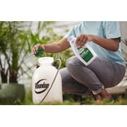 Roundup For Lawns₅ Concentrate (Southern), Weed Killer 32 oz.
