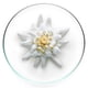 thumbnail image 3 of Bloqueador Solar Facial Lancôme Milky Bright FPS 50 Textura Cremosa Pearly Bright, 3 of 4