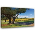thumbnail image 1 of Rita Crane 24x17 Gallery Wrapped Canvas Wall Art Titled - Oak and Vine IV, 1 of 4