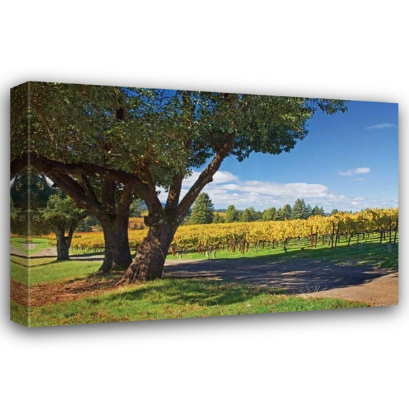Rita Crane 24x17 Gallery Wrapped Canvas Wall Art Titled - Oak and Vine IV
