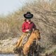 thumbnail image 4 of Sombrero vaquero de tela, ideal para disfraces. Ala ancha. Perfecto para fiestas y carnavales. Negro, 4 of 8