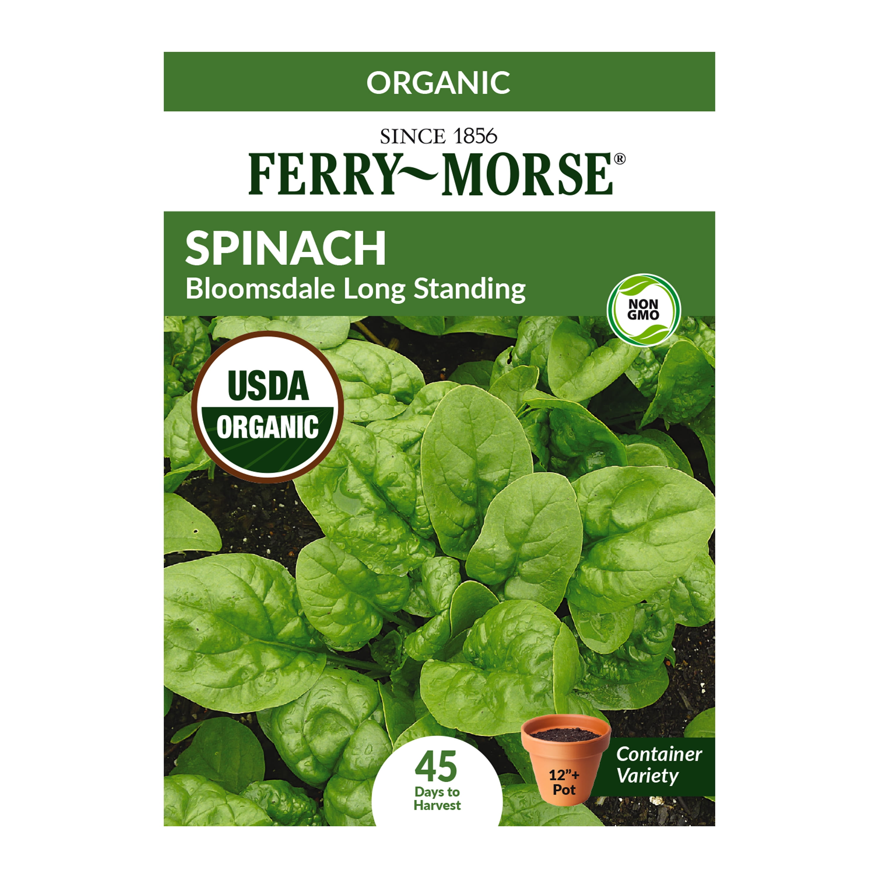 Heirloom Spinach Non-GMO 200 Bloomsdale Spinach Seeds