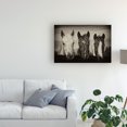 thumbnail image 3 of Trademark Fine Art 'Three Amigos I' Canvas Art by PHBurchett, 3 of 4