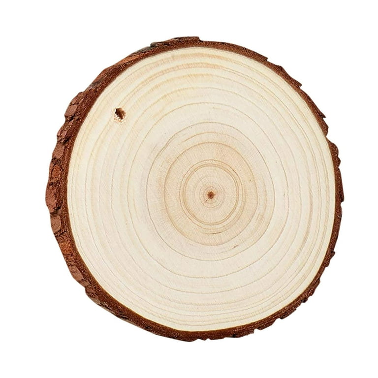 Wgoup Natural Wood Slices - 10 Pcs 0.23-2.6 Inches Craft Unfinished Wood Kit Predrilled with Hole Wooden Circles for Arts Wood Slices,A(Buy 2 Get 1