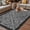 Black, variant on Black Flowers Outdoor Rug for Patio/Deck/Porch, Non-Slip Large Area Rug 3 x 5 Ft, Spring Floral Farmhouse Retro Art Indoor Outdoor Rugs Washable Area Rugs, Reversible Camping Rug Carpet Runner