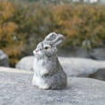 thumbnail image 1 of EGNMCR Simulation de Pâques Peluche Rabbit Jouet Mignon Poupée Rabbit Décoration Maison Cadeau Peluche Rabbit Cadeaux d'Anniversaire pour Enfants, 1 of 3