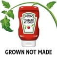 thumbnail image 5 of Heinz Tomato Ketchup, 14 oz Bottle, 5 of 19