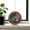 B, variant on USA 250th Anniversary Merchandise, Floral & Flag-Printed Hanging Ornament Festive Holiday Decor for Patriotic History Lovers