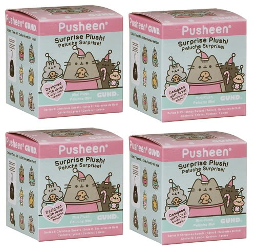 pusheen christmas surprise box
