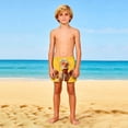 thumbnail image 4 of Birthday Party Shorts for Kids, Solid Color or Cute Print, Breathable Polyester Swim Trunks with Pockets, Toddler to 14 Years, 4 of 9