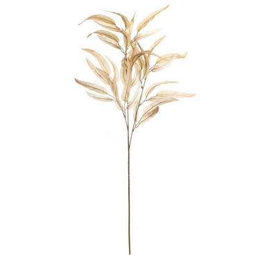 39" Cream Long Leaf Eucalyptus Stem by Ashland® - Fall Floral for Crafts and HomeDecor