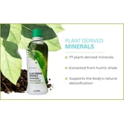 Youngevity Dr. Wallach Healthy Energy Support, 6-Pack – Plant Derived Minerals, Magnesium, Strength, Nature, Antioxidants, Immune System