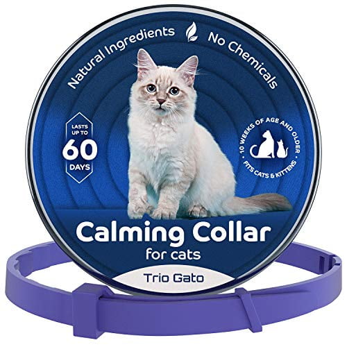 flea collar for cats walmart