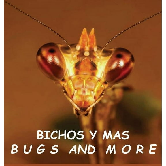 Bichos y Mas: Bugs and More, (Hardcover)