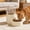 White, variant on Automatic Pussy Dog Feeder With Food Storage Container Pet Smart Feeder With Timer For Dry Food Pet Bowls For Cats Dogs Small Animals