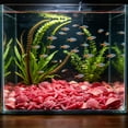 thumbnail image 6 of 50 Pieces Glow in The Dark Aquarium Stones, Fluorescent Fish Tank Rocks, Luminous Shell Decor for Aquatic Plants, Safe Ambient Lighting for Shrimp and Betta Fish, Neon Aquarium Stones, Pink, 6 of 6