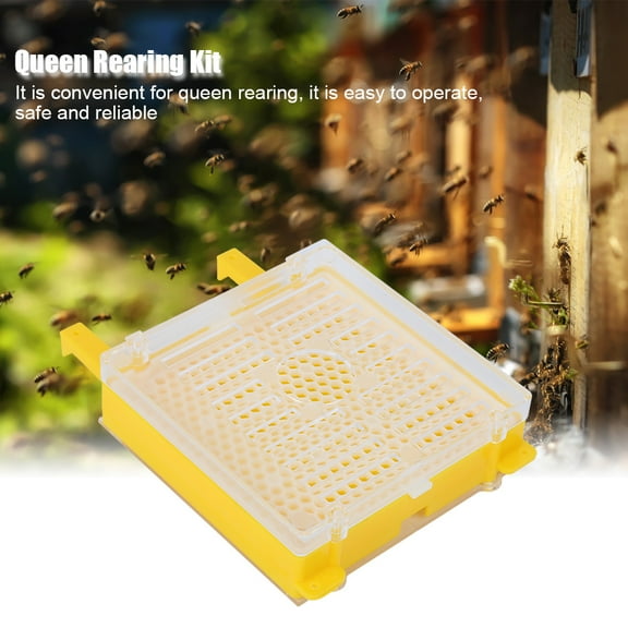 Complete Queen Rearing Kit, Breed <span Style="background:red"></span> Bees With Protective Cells  Easy,to,Use Box