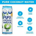 thumbnail image 5 of (2 pack) C2O Pure Coconut Water 17.5 FL OZ, 5 of 7