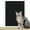 Black, variant on 7 Colors Cat Scratcher Sofa Protector Cats Scratcher Pad Board Protection Trimmable Self-adhesive Carpet DIY Cat Scratch Mat