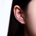 thumbnail image 2 of Pendientes escaladores ZHAOCHENG de oro rosa cristal hipoalergénicos, 2 of 5