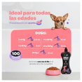 thumbnail image 3 of Suplemento líquido para perros y gatos Blife B Pets Omega Balance, 3 of 5