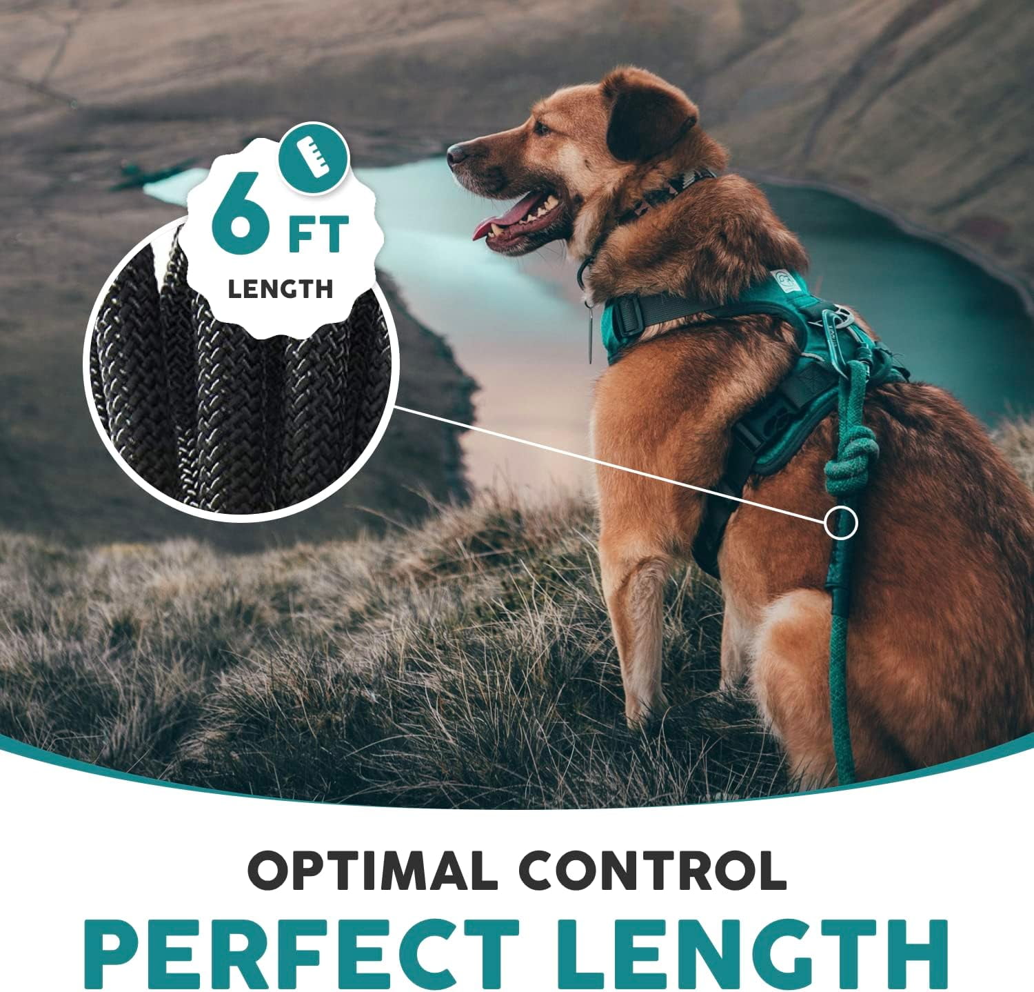 Adventure Pro Leash Climbing Rope and Carabiner Dog Leash | 6ft / Black