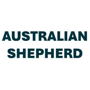 Australian Shepherd Pill Butter
