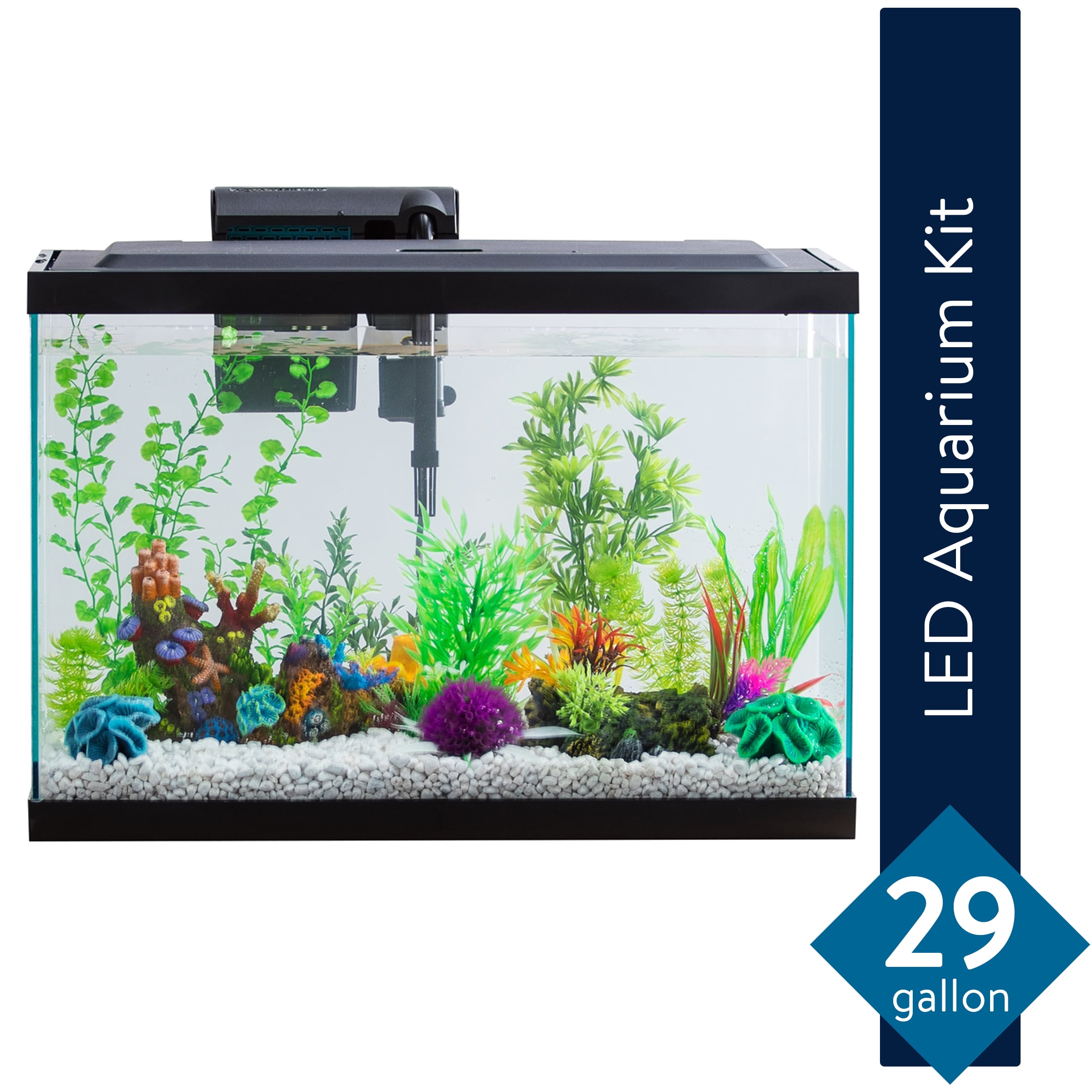 Kameraad Isoleren Pionier Aqua Culture 29-Gallon Glass Aquarium Starter Kit with LED (Online Only  Price) - Walmart.com