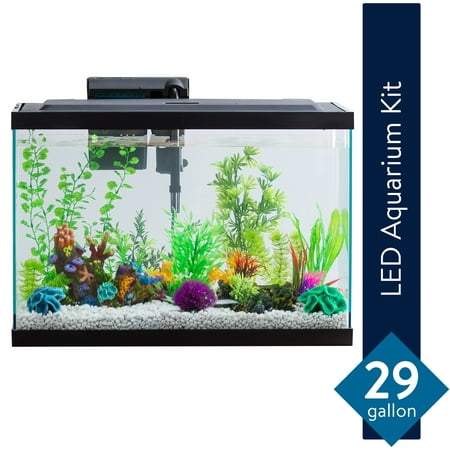 Aqua Culture 29-Gallon Aquarium Starter Kit With (Best Fish Tanks In The World)
