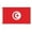 F, variant on qolami 2026 World Football Competition 32 Team Flag, Polyester Cheering Banner for Fans, Official Design for Game Day Decorations & Souvenirs