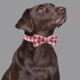 thumbnail image 3 of Toalla de baño para perros, bata de baño con absorción de agua para mascotas, limpieza para perros grandes y pequeños, envoltura de cuerpo entero, toalla de baño para gatos seca 2075, 3 of 5