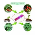thumbnail image 3 of Indoor Greenhouse with LED Grow Lights, 4 Tier Mini Greenhouse with Roll-Up Zipper PVC Waterproof Cover and Trays, Dimmable Plant Grow Light for Indoor Plant with Timer, 27 L X 19 W X 63 H, 3 of 10
